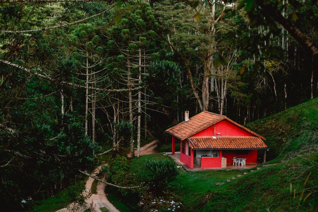 Sitio Das Hortensias Chales Conceição da Ibitipoca Zewnętrze zdjęcie